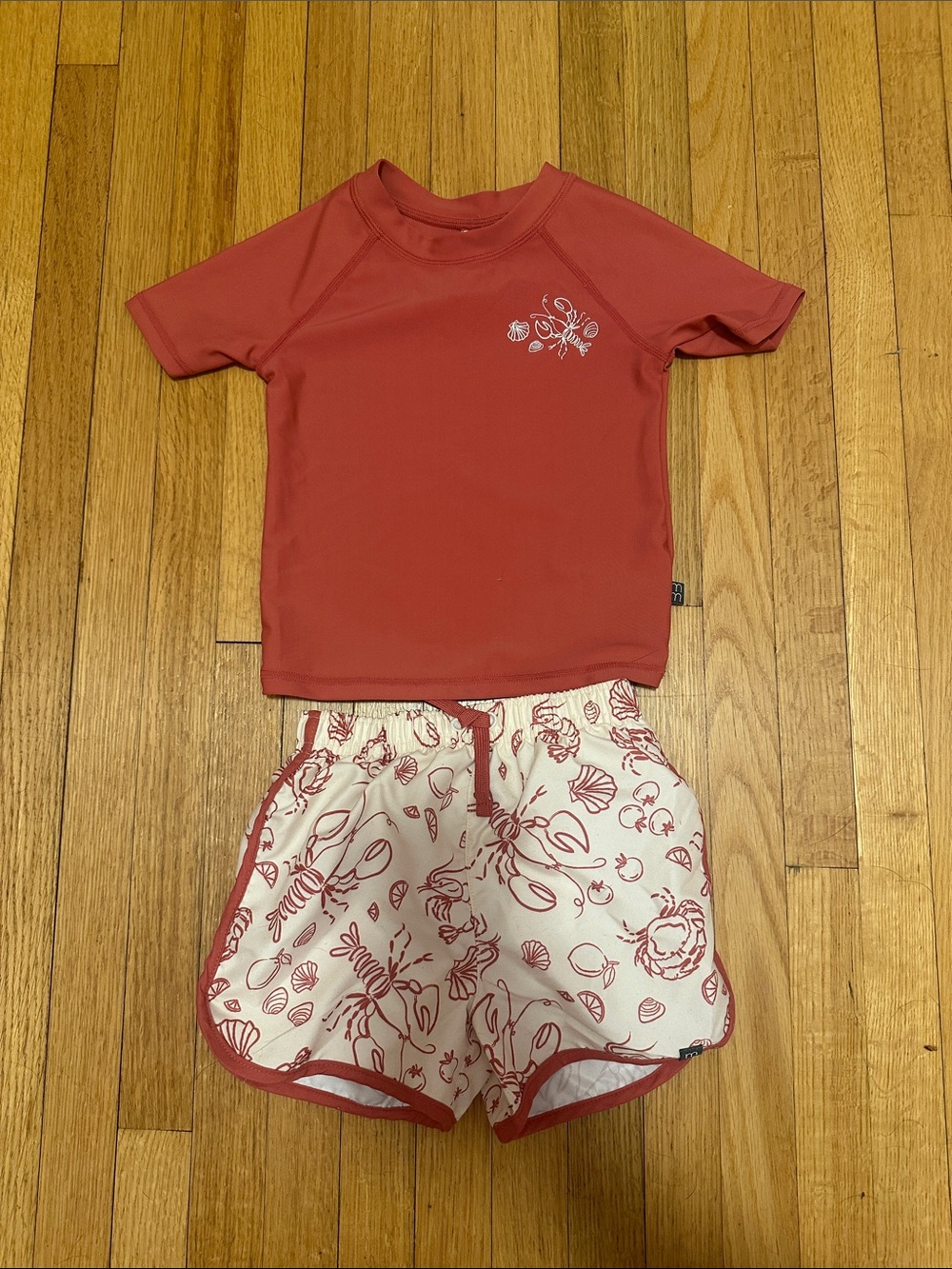 Modern Moments toddler Red Rash Guard Swim Set with Shell-Print Shorts
